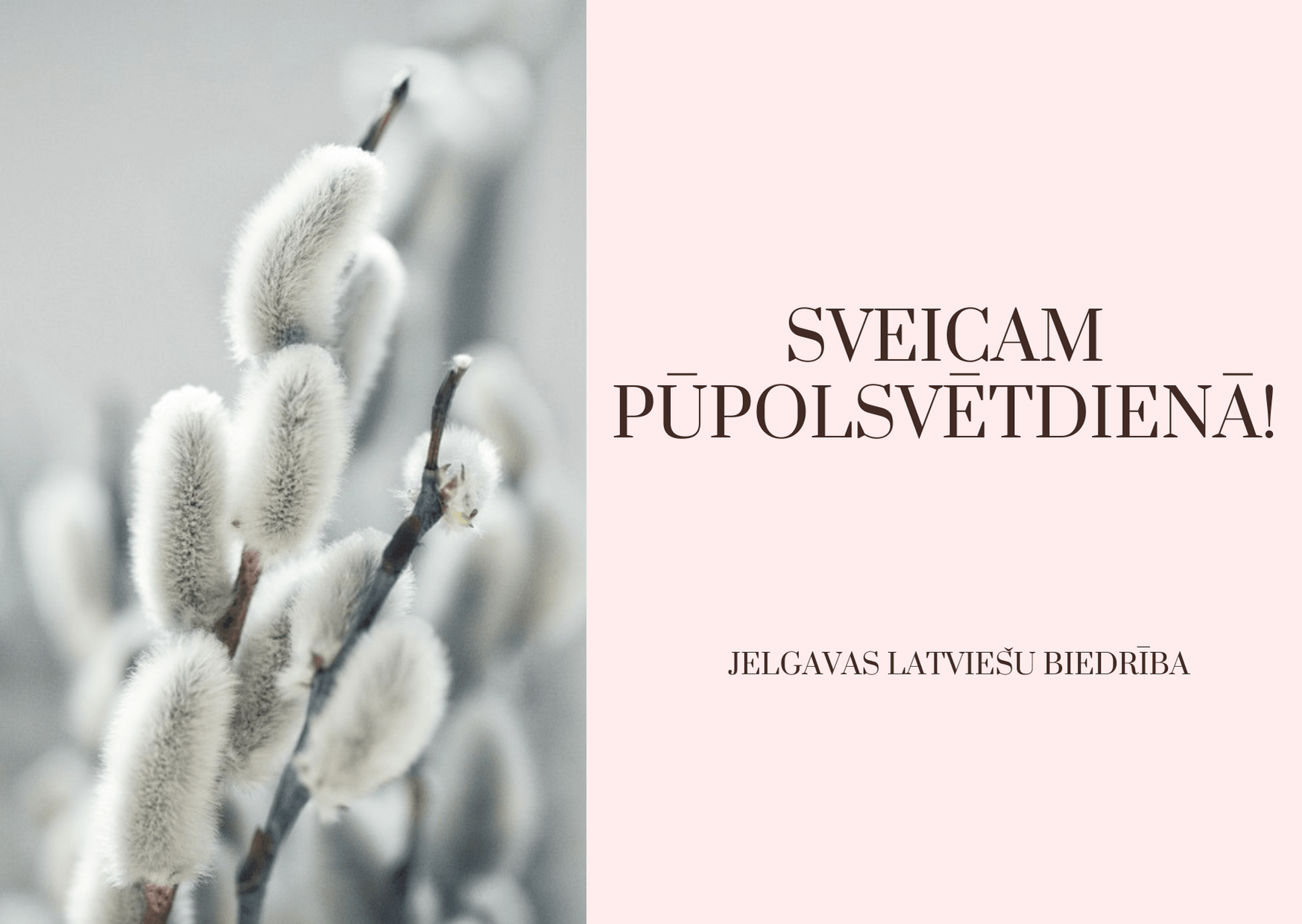 Sveicam Pūpolsvētdienā!