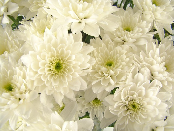 Mūsu pēdējā saruna nedēļā pirms…