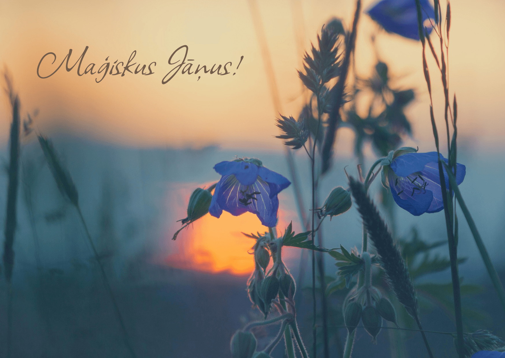 Maģiskus Jāņus!